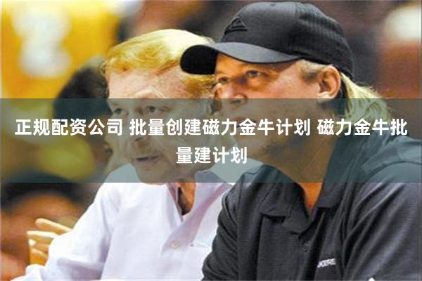 正规配资公司 批量创建磁力金牛计划 磁力金牛批量建计划