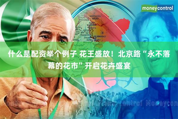什么是配资举个例子 花王盛放！北京路“永不落幕的花市”开启花卉盛宴