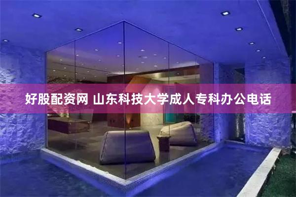 好股配资网 山东科技大学成人专科办公电话