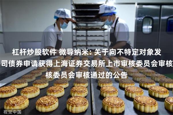 杠杆炒股软件 微导纳米: 关于向不特定对象发行可转换公司债券申请获得上海证券交易所上市审核委员会审核通过的公告