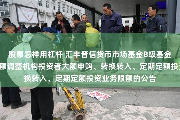 股票怎样用杠杆 汇丰晋信货币市场基金B级基金份额和C级基金份额调整机构投资者大额申购、转换转入、定期定额投资业务限额的公告