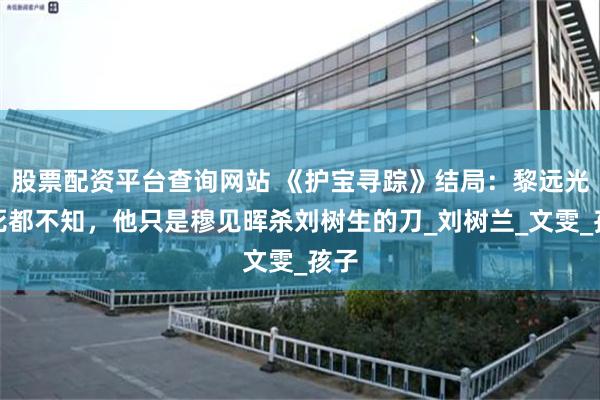 股票配资平台查询网站 《护宝寻踪》结局：黎远光到死都不知，他只是穆见晖杀刘树生的刀_刘树兰_文雯_孩子