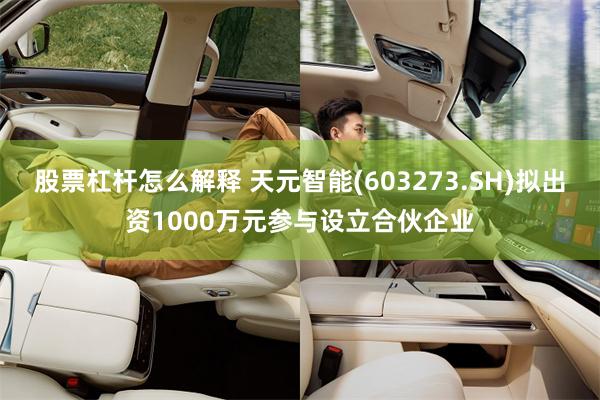股票杠杆怎么解释 天元智能(603273.SH)拟出资1000万元参与设立合伙企业