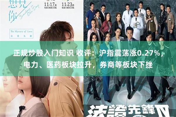 正规炒股入门知识 收评：沪指震荡涨0.27%，电力、医药板块拉升，券商等板块下挫