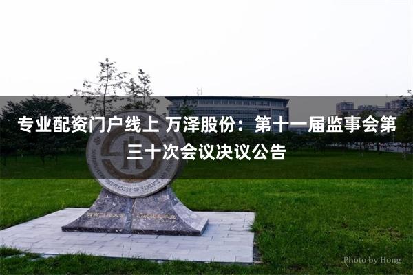 专业配资门户线上 万泽股份：第十一届监事会第三十次会议决议公告