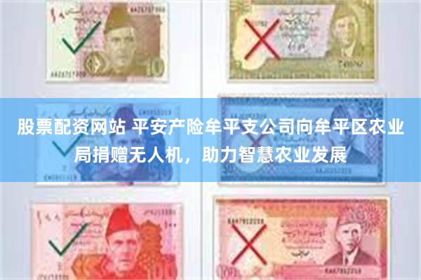 股票配资网站 平安产险牟平支公司向牟平区农业局捐赠无人机，助力智慧农业发展