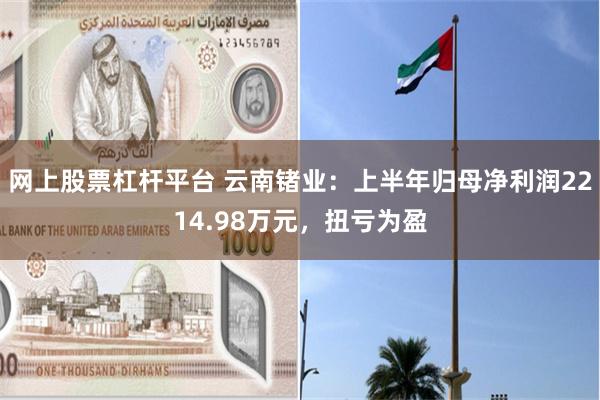 网上股票杠杆平台 云南锗业：上半年归母净利润2214.98万元，扭亏为盈