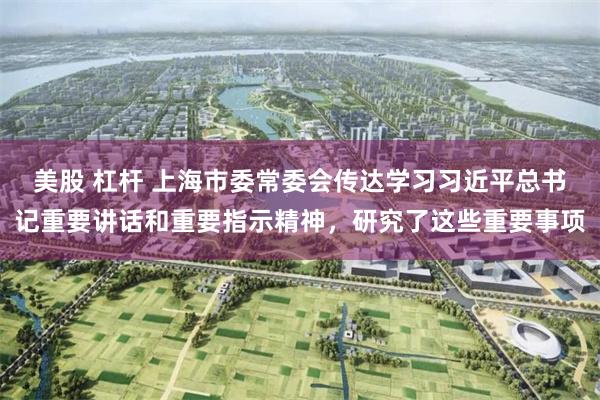 美股 杠杆 上海市委常委会传达学习习近平总书记重要讲话和重要指示精神，研究了这些重要事项